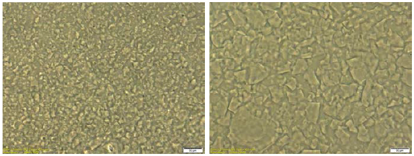 Elastomer Gels Smaller gel particles for superior sensory attributes