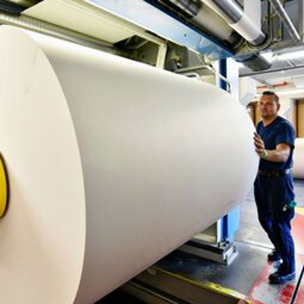 PSA pour rouleaux d’étiquettes et de ruban adhésif recouverts de silicone